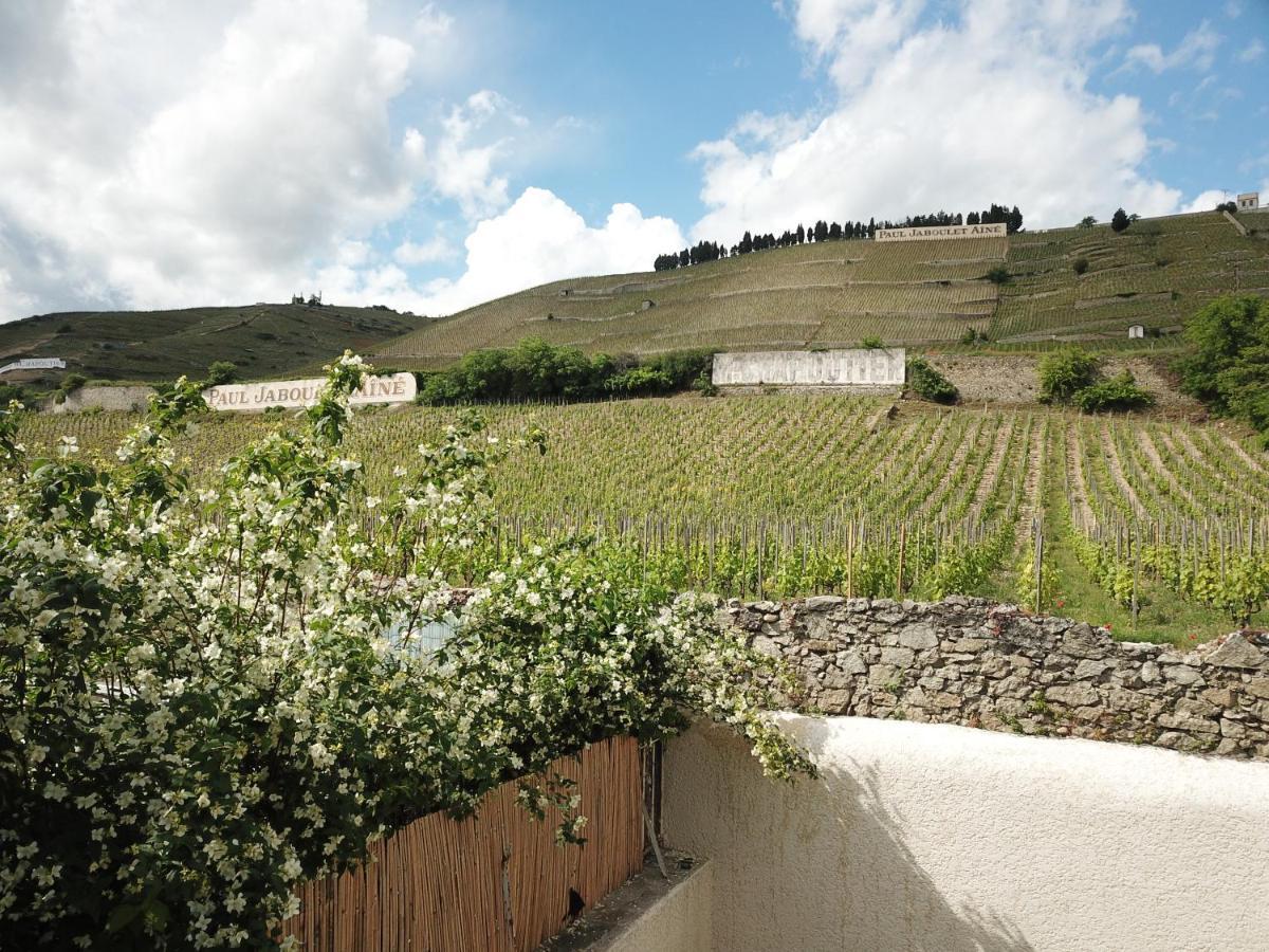 Le Pavillon De L'Hermitage - Spa Ouvert D'Avril A Octobre Тен-л'Ермітаж Екстер'єр фото